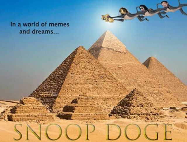 In a world of memes and dreams... OP DOGE
