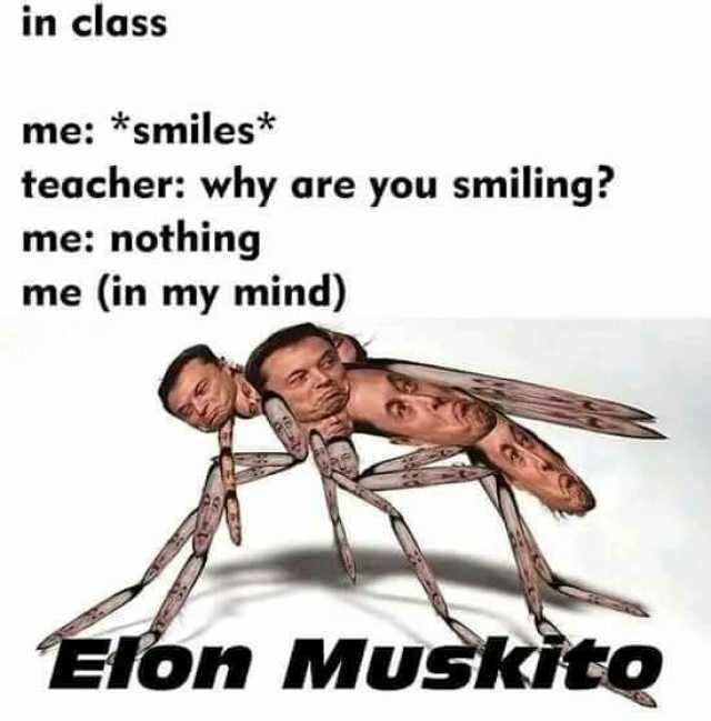 in class me *smiles* teacher why are you smiling me nothing me (in my mind) Elon MuSkito
