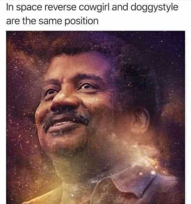 In space reverse cowgirl and doggystyle are the same position