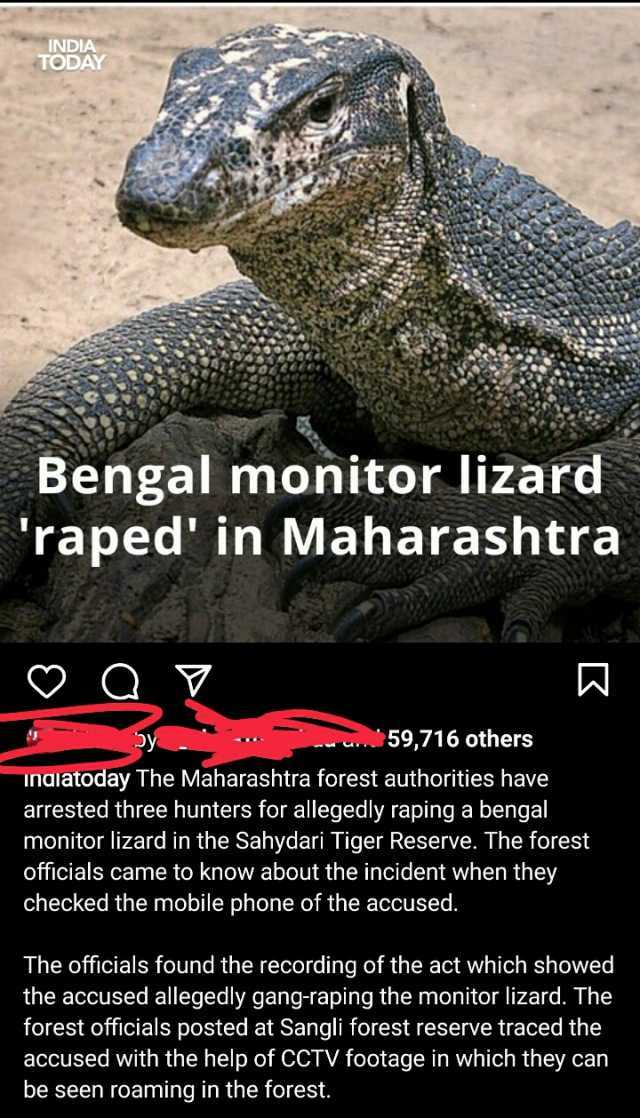 INDIA TODAY Bengal monitor lizard raped in Maharashtra OQ y 59716 others Inaiatoday The Maharashtra forest authorities have arrested three hunters for allegedly raping a bengal monitor lizard in the Sahydari Tiger Reserve. The for