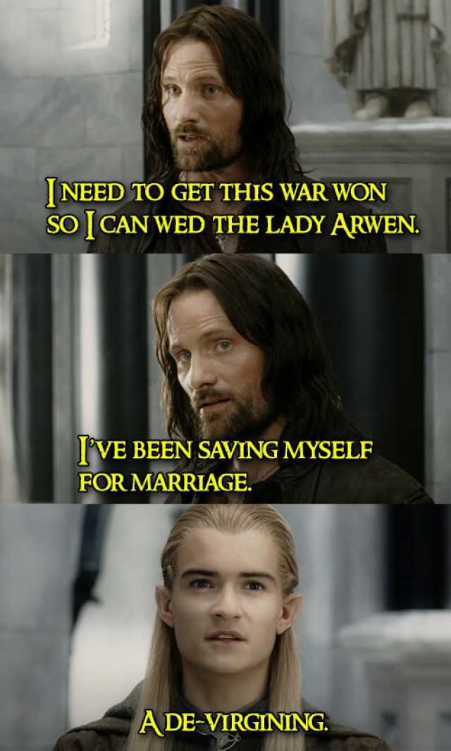 INEED TO GET THIS WAR WON SO ICANWED THE LADY ARWEN. fVE BEEN SAVING MYSELF FOR MARRIAGE ADE-VIRGINING