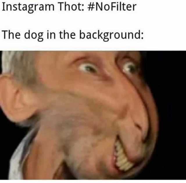 Instagram Thot #NoFilter The dog in the background 