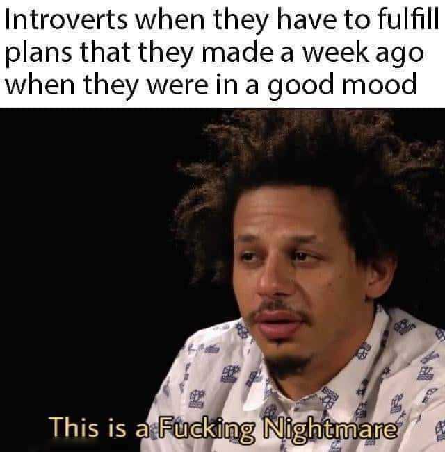 Introverts when they have to fulfill plans that they made a week ago when they were in a good mood This is a Fucking Nightmare 