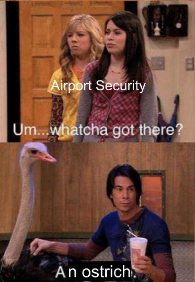 irport Security tcha got there? An ostrich. 