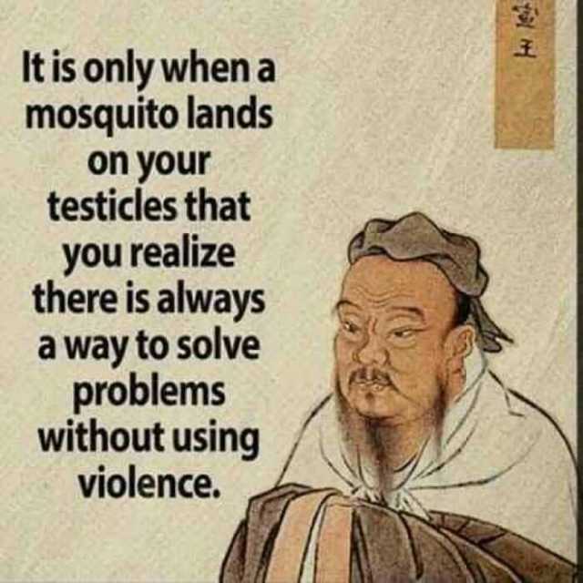 It is only when a mosquito lands on your testicles that you realize there is always a way to solve problemsS without using violence.