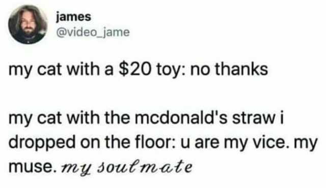 james @videojame my cat with a $20 toy no thanks my cat with the mcdonalds straw i dropped on the floor u are my vice. my muse. my soutmate