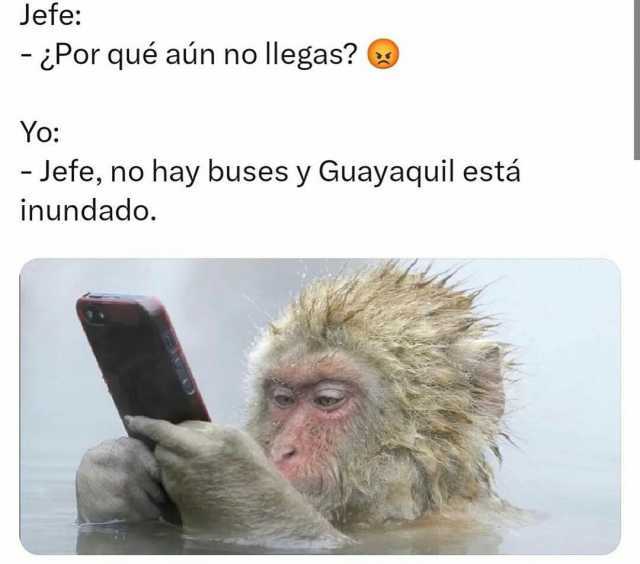 Jefe -¿Por qué aún no llegas Yo - Jefe no hay buses y Guayaquil está inundado.