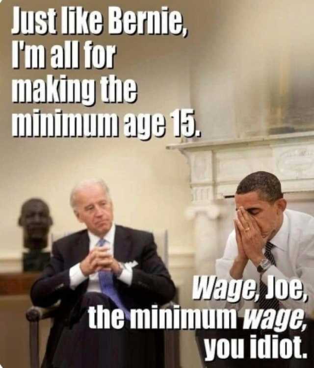 JISTIIKe Bernie Im all tor making theg minimum age l5 Wage Joe the minimum wage yOU idiot