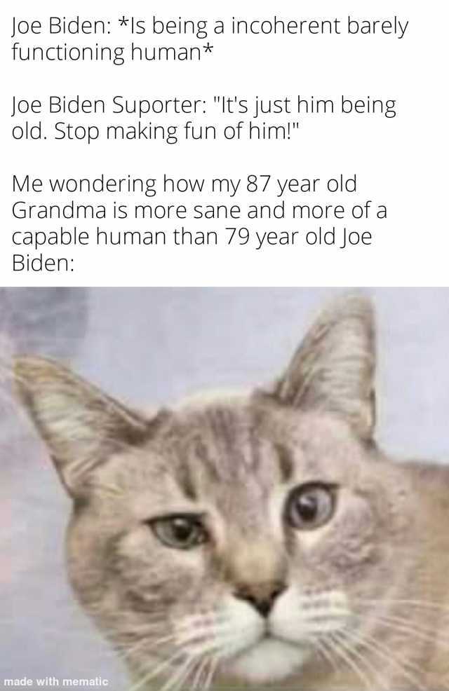 Joe Biden *ls being a incoherent barely functioning human* Joe Biden Suporter Its just him being old. Stop making fun of him! Me wondering how my 87 year old Grandma is more sane and more of a capable human than 79 year old Jobe B