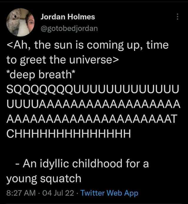 Jordan Holmes @gotobedjordan Ah the sun is coming up time to greet the universe deep breath SQQQQQQQUUUUUUUUUUUUU UUUUAAAAAAAAAAAAAAAAAA AAAAAAAAAAAAAAAAAAAAAT CHHHHHHHHHHHHHH - An idyllic childhood for a young squatch 827 AM 04 J