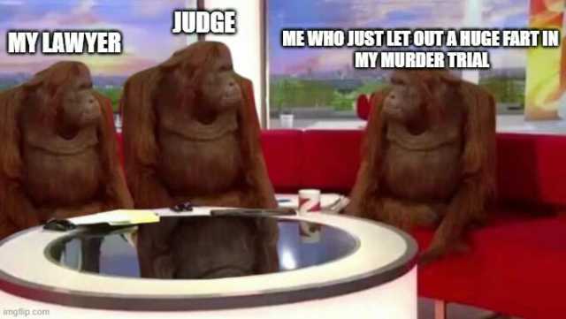 JUDGE Y LAWYER ME WHO JUSTLETOUTAHUGE FART IN MYMURDERTRIAL imgflip.com