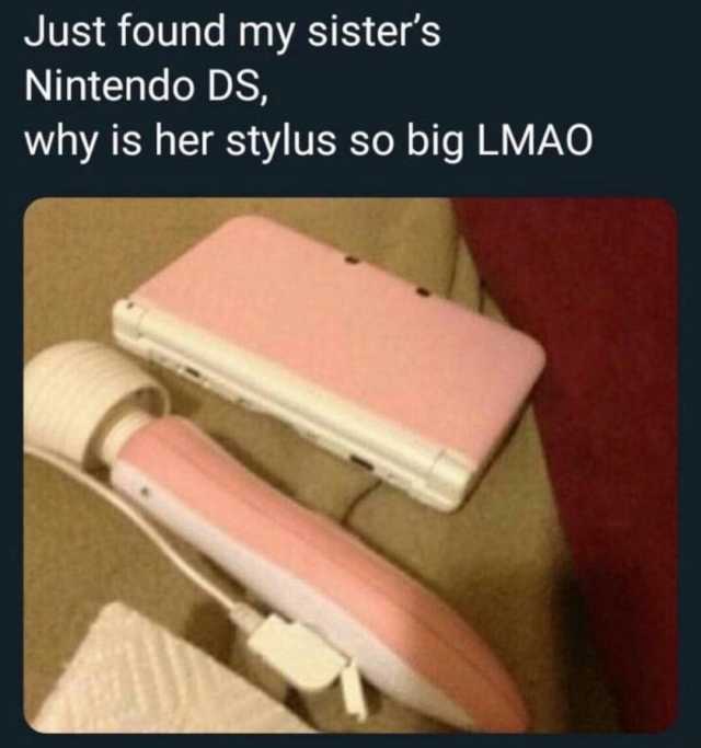 Just found my sisters Nintendo DS why is her stylus so big LMA0