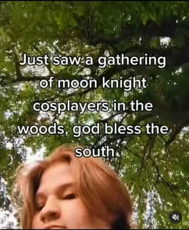 JustisawEa gathering9 of moon knight * cosplayersin. the woods god bless the SOuth