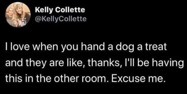 Kelly Collette @KellyCollette I love when you hand a dog a treat and they are like thanks Il be having this in the other room. Excuse me.