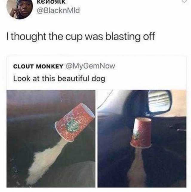 KENO @BlacknMld I thought the cup was blasting off CLOUT MONKEY @MyGemNow Look at this beautiful dog 