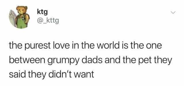ktg @_kttg the purest love in the world is the one between grumpy dads and the pet they said they didnt want