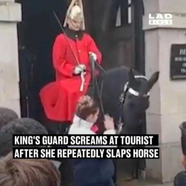 LAD BIBLE 8E KINGS GUARD SCREAMS AT TOURIST AFTER SHE REPEATEDLY SLAPS HORSE