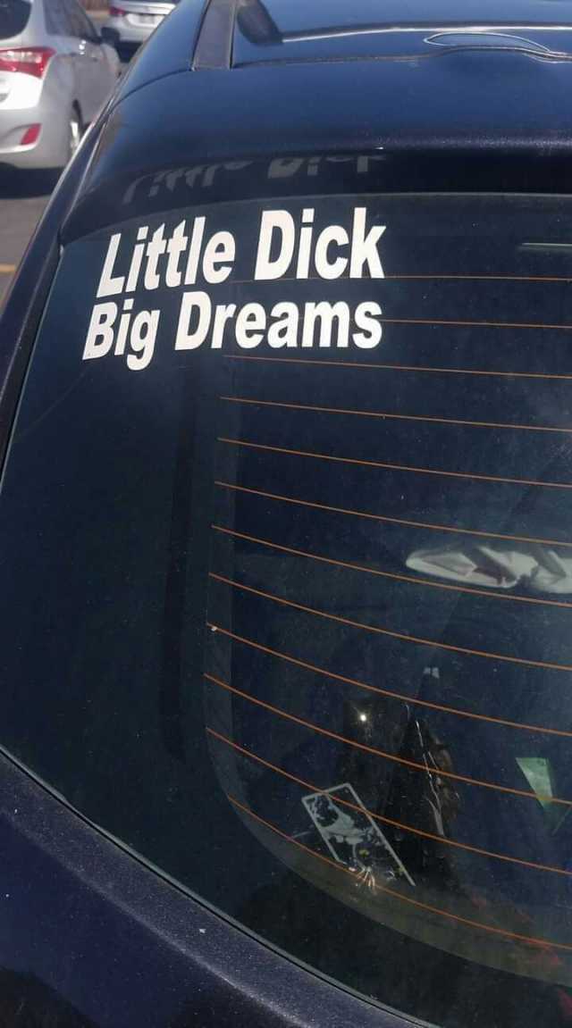 Little Dick Big Dreams