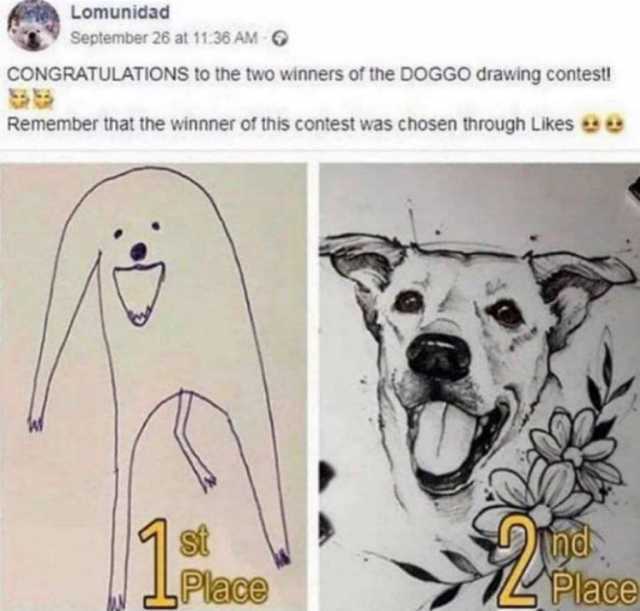 Lomunidad September 26 at 1136 AM 6 CONGRATULATIONS to the two winners of the DOGGO drawing contest! Remember that the winnner of this contest was chosen through Likes ee Ind. Place Place 