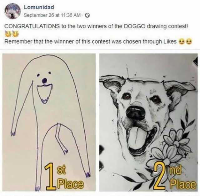 Lomunidad September 26 at 1136 AM CONGRATULATIONS to the two winners of the DOGGO drawing contest! Remember that the winnner of this contest was chosen through Likes 1 Place LPlace