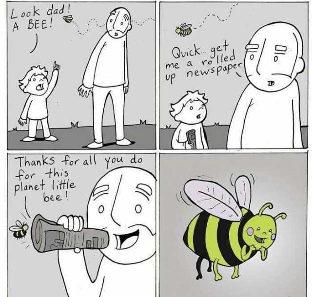 Look dad A bEE! Quick 9 me a ro lled Up newspapec ThanKS tor all you do for this planet tle bee O