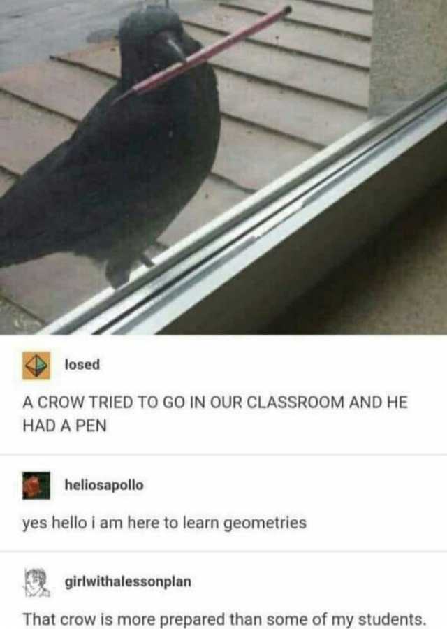 losed A CROW TRIED TO GO IN OUR CLASSROOM AND HE HAD A PEN heliosapollo yes hello i am here to learn geometries girlwithalessonplan That crow is more prepared than some of my students.