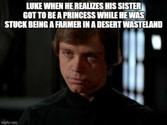 LUKE WHEN HE REALIZES HIS SISTER GOTTO BEA PRINCESS WHILE HEWAS STUCK BEINGA FARMER IN ADESERT WASTELAND imgflip.com