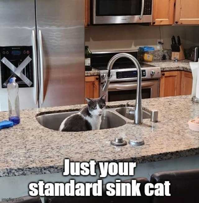 mafipCom Justyour standard sink cat
