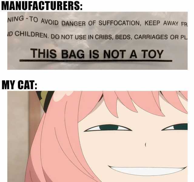 MANUFACTURERS NING TO AVOID DANGER OF SUFFOCATION KEEP AWAY FR NING -TO AVOID ID CHILDREN. DO NOT USE IN CRIBS BEDS CARRIAGES OR PL THIS BAG IS NOT A TOY MY CAT