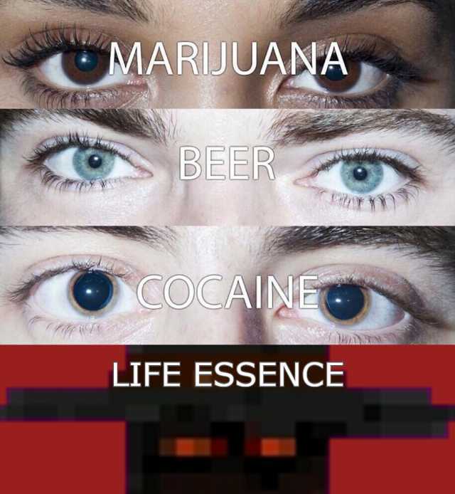 MARUUANA BEER COCAINE LIFE ESSENCE