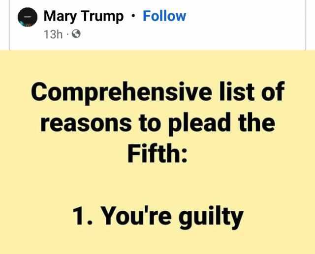 Mary Trump Follow 13h Comprehensive list of reasons to plead the Fifth 1. Youre guilty