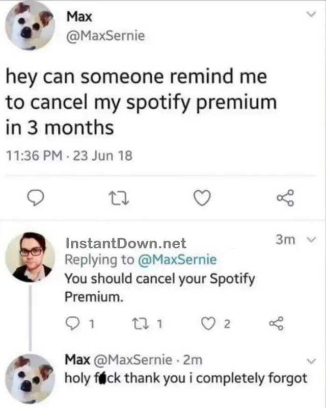 Маx @MaxSernie hey can someone remind me to cancel my spotify premium in 3 months 1136 PM - 23 Jun 18 InstantDown.net 3m v Replying to @MaxSernie You should cancel your Spotify Premium. Max @MaxSernie 2m holy fack thank you i co