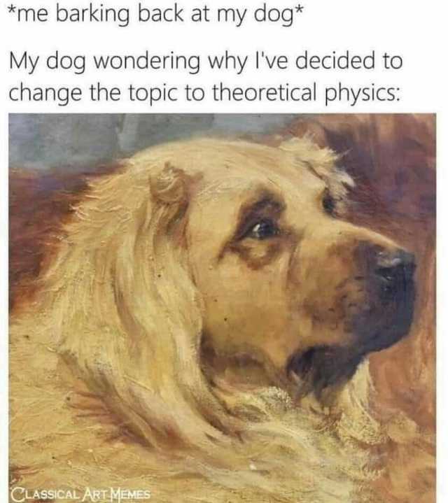 *me barking back at my dog* My dog wondering why Ive decided to change the topic to theoretical physics CLASSICALART.MEME