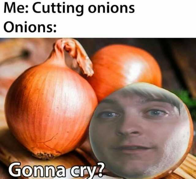 Me Cutting onions Onions Gonnacry2