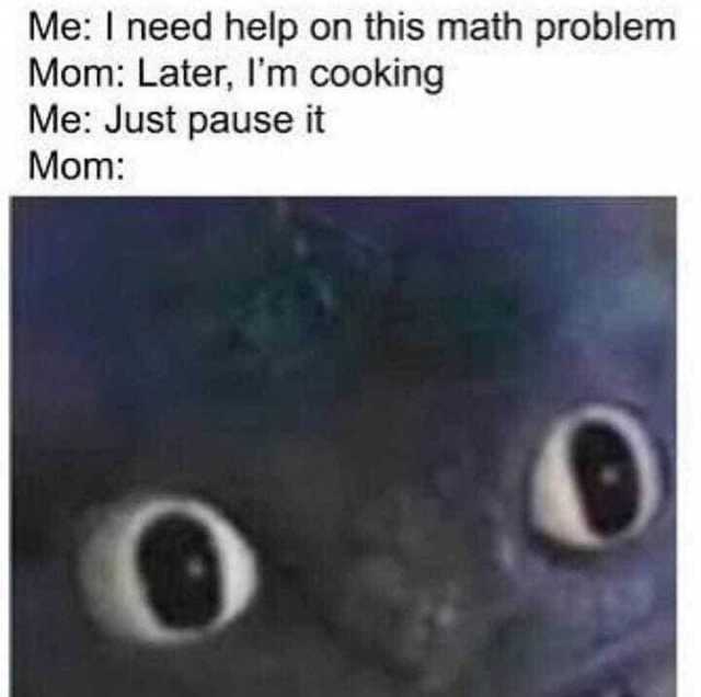 Me I need help on this math problem Mom Later lm cooking Me Just pause it Mom 