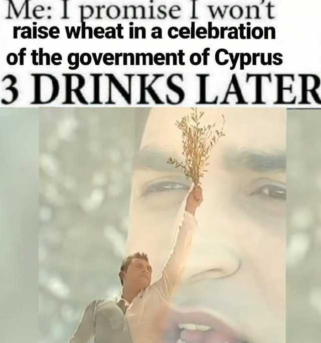 Me I promise I wont raise wheat in a celebration of the government of Cyprus 3 DRINKS LATER 