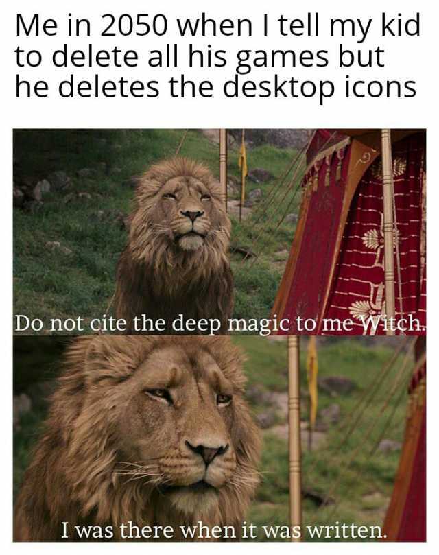 Me in 2050 when tell my kid to delete all his games but he deletes the desktop icons Do not cite the deep magic to me tch I was there when it was written.