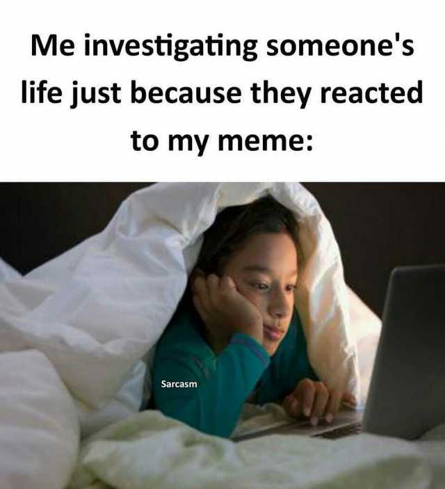 Me investigating someones life just because they reacted to my meme Sarcasm