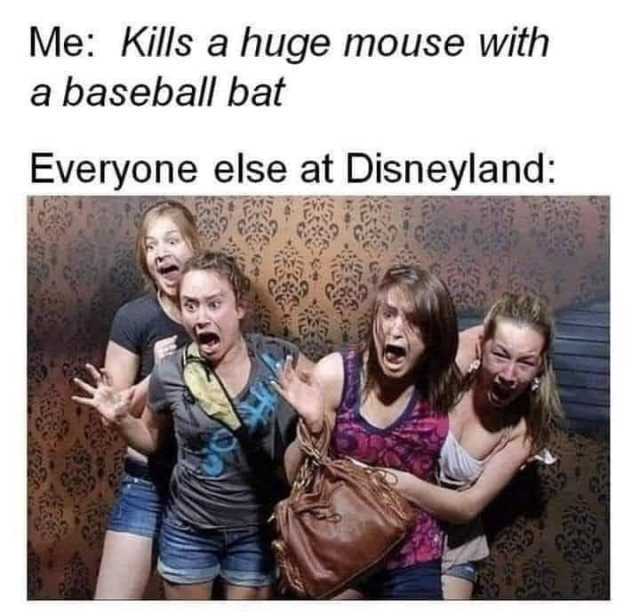 Me Kills a huge mouse with a baseball bat Everyone else at Disneyland 