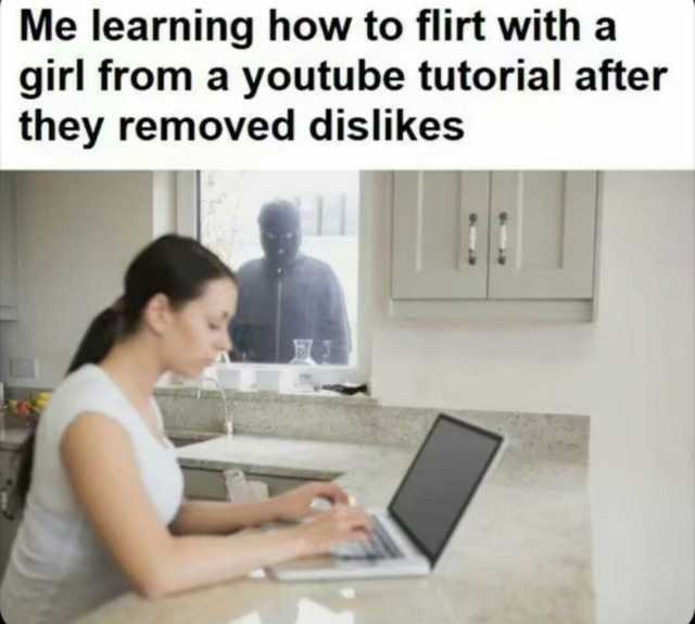 Me learning how to flirt with a girl from a youtube tutorial after they removed dislikes