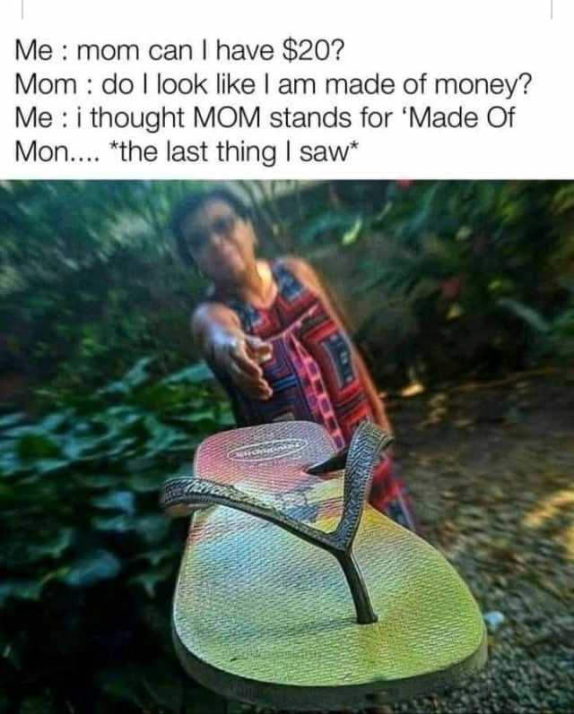 dopl3r.com - Memes - Me mom can I have $20? Mom do I look like I am made of  money? Me i thought MOM stands for Made Of Mon.... *the last thing