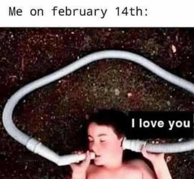 Me on february 14th T love you