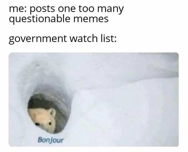 me posts one too many questionable memes government watch list Bonjour