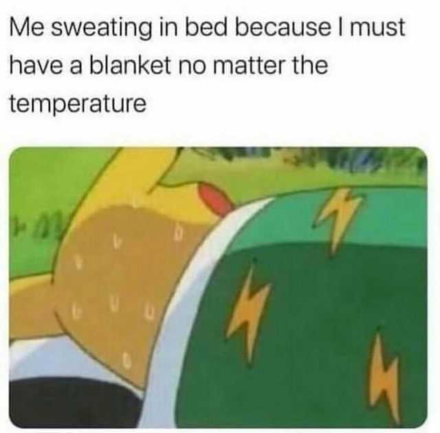 Me sweating in bed because I must have a blanket no matter the temperature