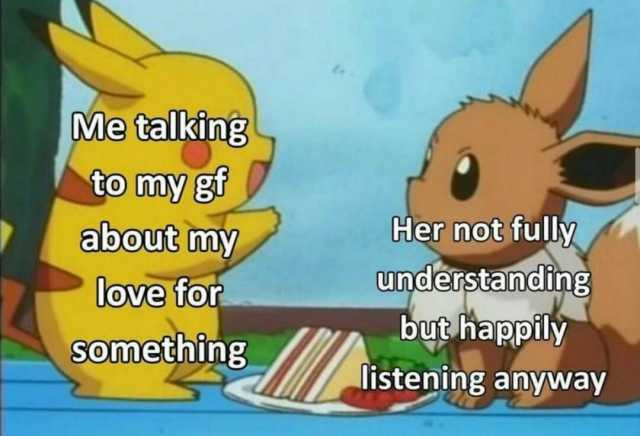 Me talking to my gf about my love for something Her not fully understanding but happily listening anyway