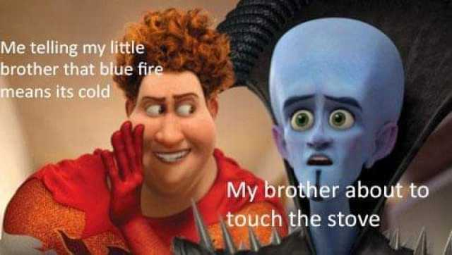 Me telling my little brother that blue fire means its cold My brother about to touch the stove 