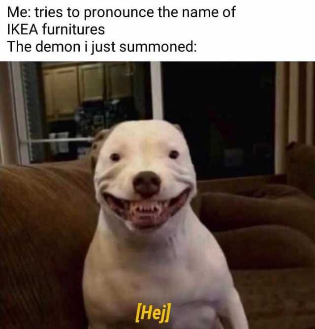 Me tries to pronounce the name of IKEA furnitures The demon i just summoned [Hej] 