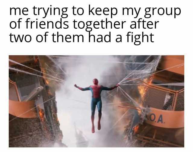 me trying to keep my group of friends together after two of them had a fight OA.