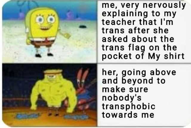 me very nervously explaining to my teacher that lnm trans after she asked about the trans flag on the pocket of My shirt her going above and beyond to make sure nobodys transphobic towards me
