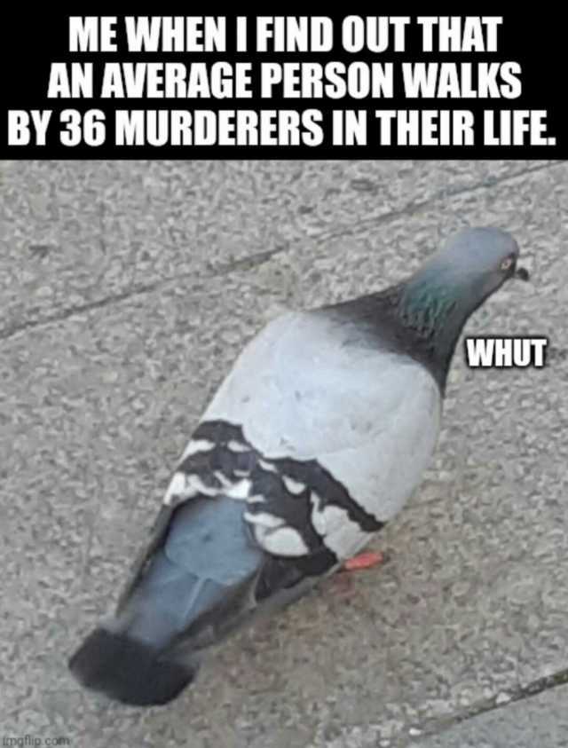 ME WHEN IFIND OUT THAT AN AVERAGE PERSON WALKS BY 36 MURDERERS IN THEIR LIFE. WHUT imgflip.com